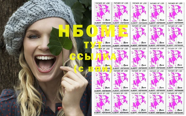 гашик Аркадак