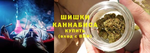 PSILOCYBIN Арсеньев