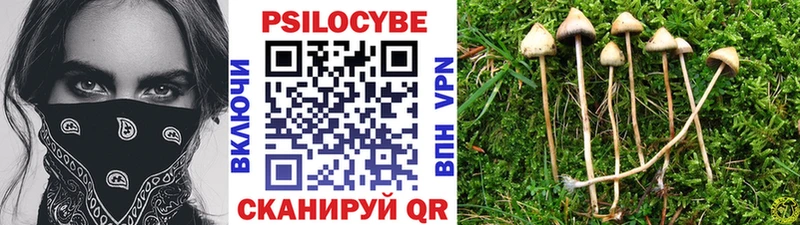 Галлюциногенные грибы Psilocybine cubensis  кракен сайт  Покровск 
